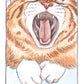 Cat Tarot