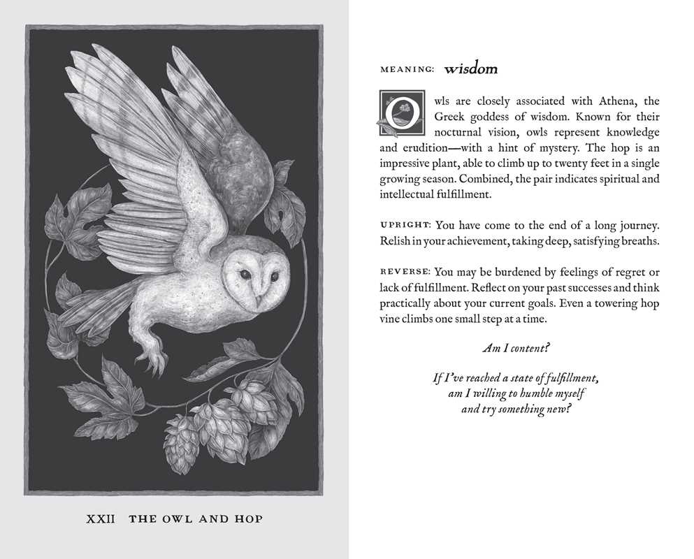 Woodland Wardens by Jessica  Roux: Mixed Media; 52 pages / English