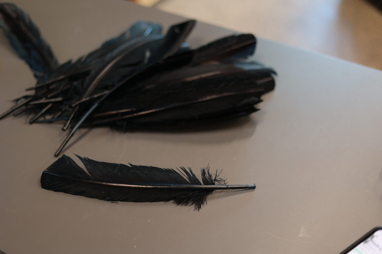 Black Crow Feathers for Smudging and smoke ritual Faiza Naturals 