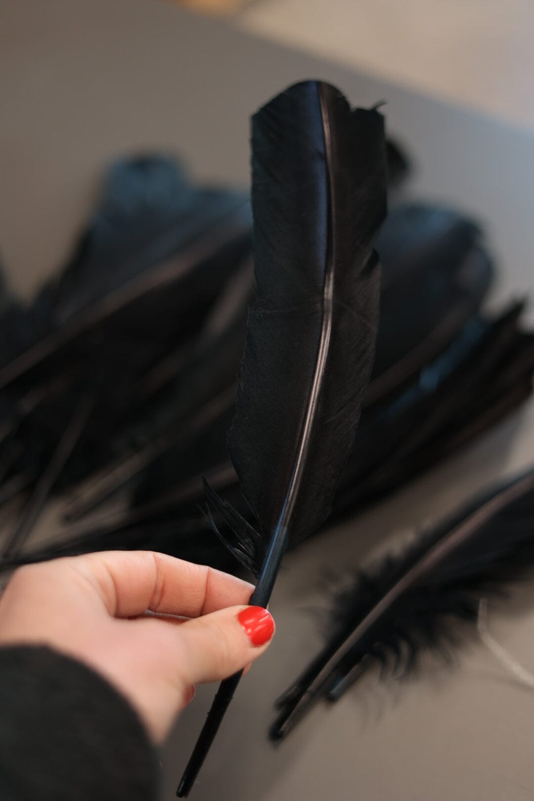 Black Crow Feathers for Smudging and smoke ritual Faiza Naturals