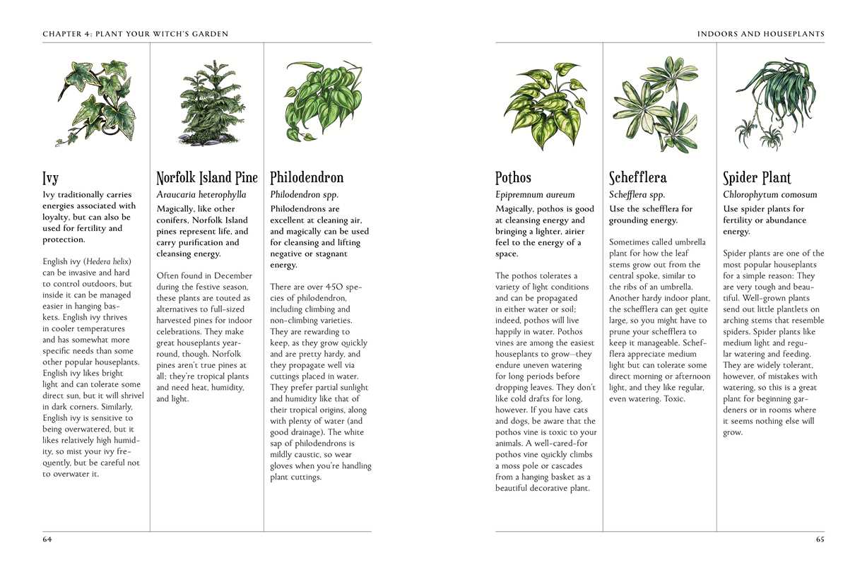 Green Witch's Garden by Arin Murphy-Hiscock: Hardcover; 224 pages / English