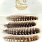 Feathers for Smudging Faiza Naturals 
