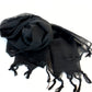 Cotton Scarf in Rich Black